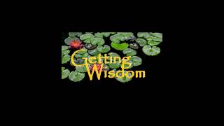 Getting Wisdom 23