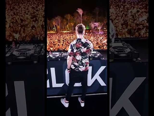 Alok live stream December 31, 2019