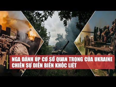 Video: Ứng dụng phát trực tiếp mới sẽ đưa người nổi tiếng lên cấp độ tiếp theo