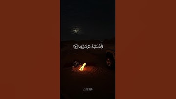 سورة النجم الآيات [39-40-41] ياسر الدوسري