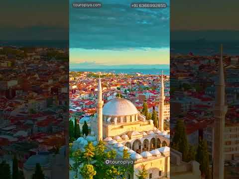 Istanbul Travel Short