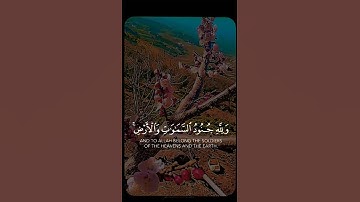 آية من القرآن الكريم بصوت القارئ "إسلام صبحي" #سورة الفتح#