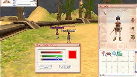 FLYFF Scroll of Name Color Change