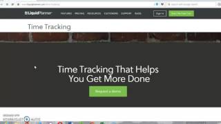 LiquidPlanner Time Tracking