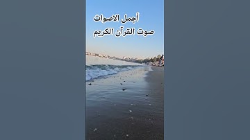 اللهم🤲 اجعل القرآن ربيع قلوبنا ونور صدورنا#اكسبلور#راحة_نفسية قران كريم بصوت جميل للشيخ اسلام صبحي