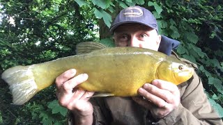 Tench fishing to start the day and the element of the unknown