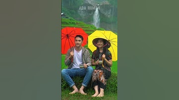 Pasangan Yang sedang Menikmati Indahnya Pemandangan di Sawah #shorts #short #rainsoundsforsleeping