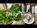 Daily Vlog | インテリアショップでお買い物編｜Interior Green | 購入品紹介｜インテリア｜