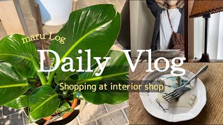 Daily Vlog | インテリアショップでお買い物編｜Interior Green | 購入品紹介｜インテリア｜
