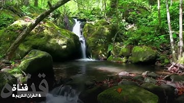 ١٠٦= سورة قريش //الشيخ عبدالباسط عبدالصمد/ خشوع/ وتجويد رائع