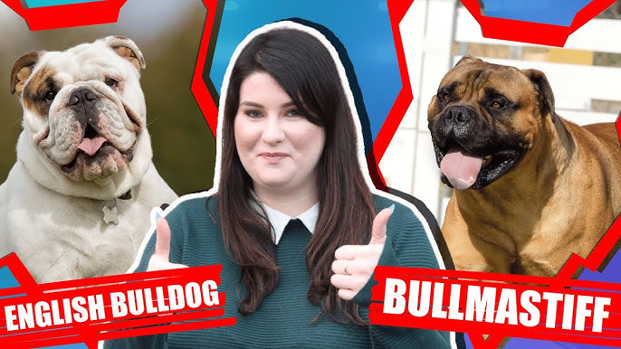 Klassik yuzma-yuz pozitsiyada jinsiy aloqa HD formatda syujetli porno