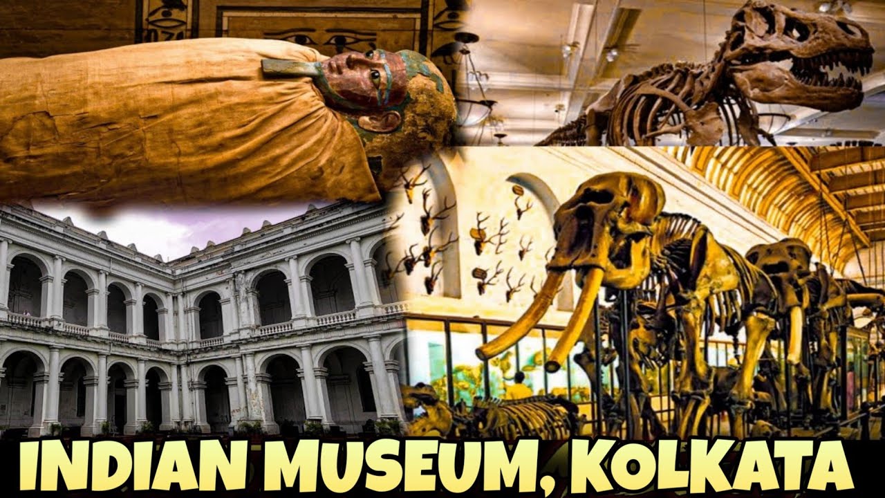 Indian Museum Kolkata| India’s Largest and Oldest Museum|Best Museum of ...