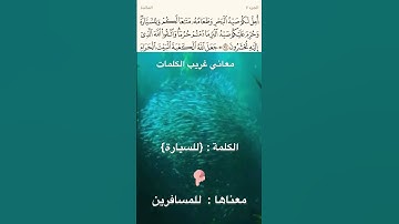 معنى كلمة {للسيارة ) آية ٩٦ سورة المائدة
