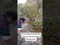 agua limpia en el campo