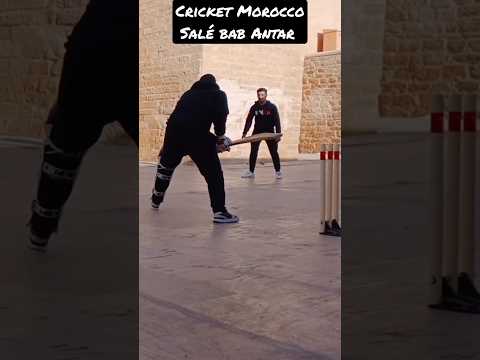 GIoco Cricket Road: Shawpno Prottasha Ashe Egiye Fele Bangladesher Khelar Upohar