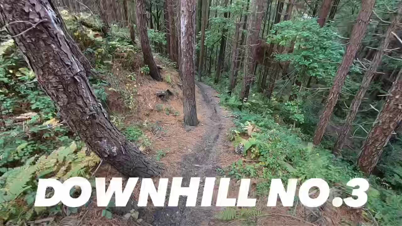 Day session in Wharncliffe Woods