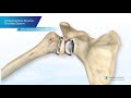 Comprehensive Humerus Reverse Part 2 | Dr. Ashutosh Ajri