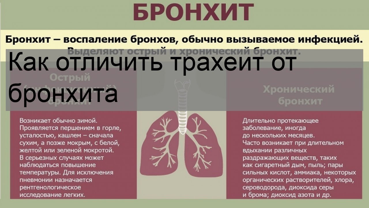 Острые и хронические поражения