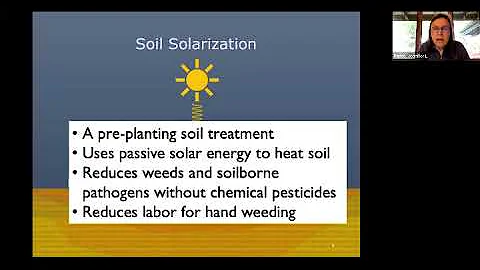 First Fridays-Soil Solarization w/ Dr. Jennifer Pa...