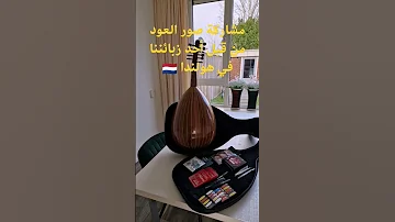 عود و بزق تركي و بغلمة للبيع شحن مجاني لكل دول العالم Shorts بزق 