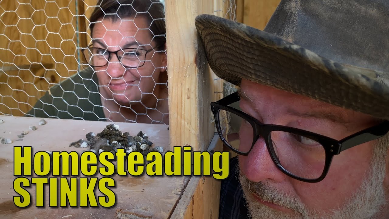 Homesteading STINKS | A Big Family Homestead VLOG - YouTube