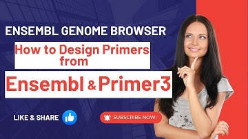 How to Design Primers from Ensembl & Primer3 | Ensembl Genome Browser