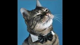 MÓDULO 5 ▶ Semana 3 ▶ Actividades integradoras 5 y 6