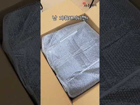 이 의자 앉자마자 집중력 +200됨ㅋㅋ 진심 추천 #의자사용리뷰