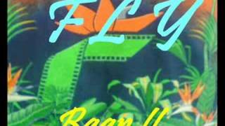 Baan - The Fly ( the best of mix 2008)