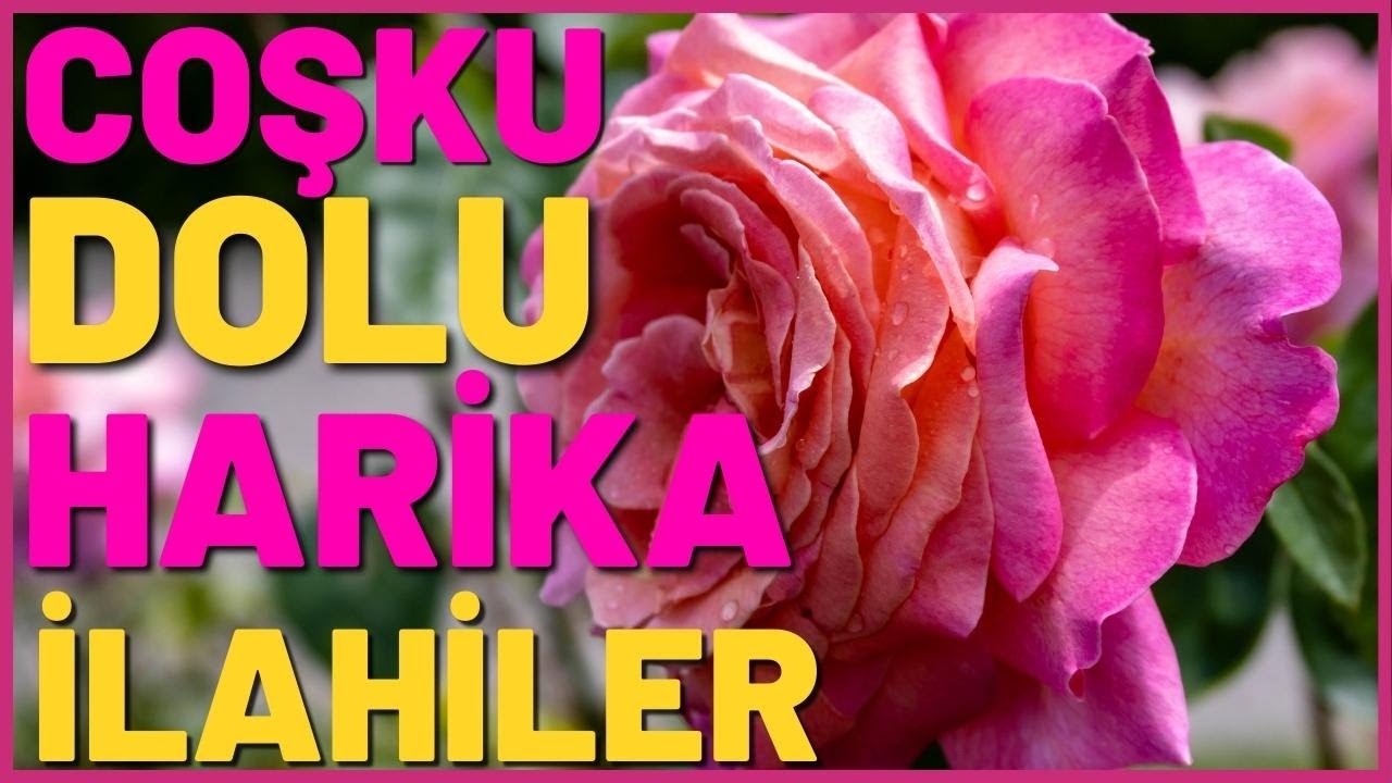 COŞKU DOLU HARİKA İLAHİLER | HAYIRLI HAFTALAR