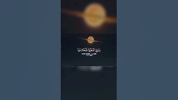 اكتب شئ تؤجر عليه 💬🤲 - تلاوة محمد هشام #quran