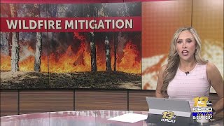 Information Importance of spring cleaning for fire prevention as spring approaches Guide