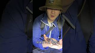 드디어 이 녀석을 제가 찾았습니다!!! #수마트라