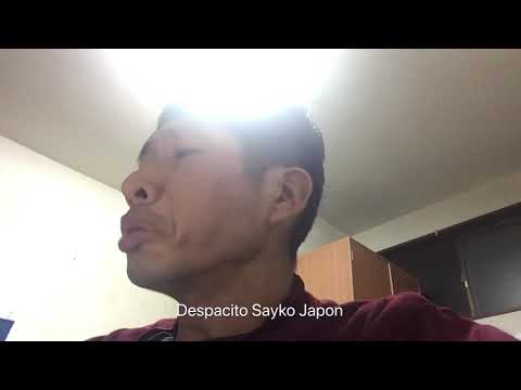 Despacito Sayko Japon