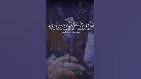 تلاوة خاشعة 🎧|| صلاح بوخاطر ❤️