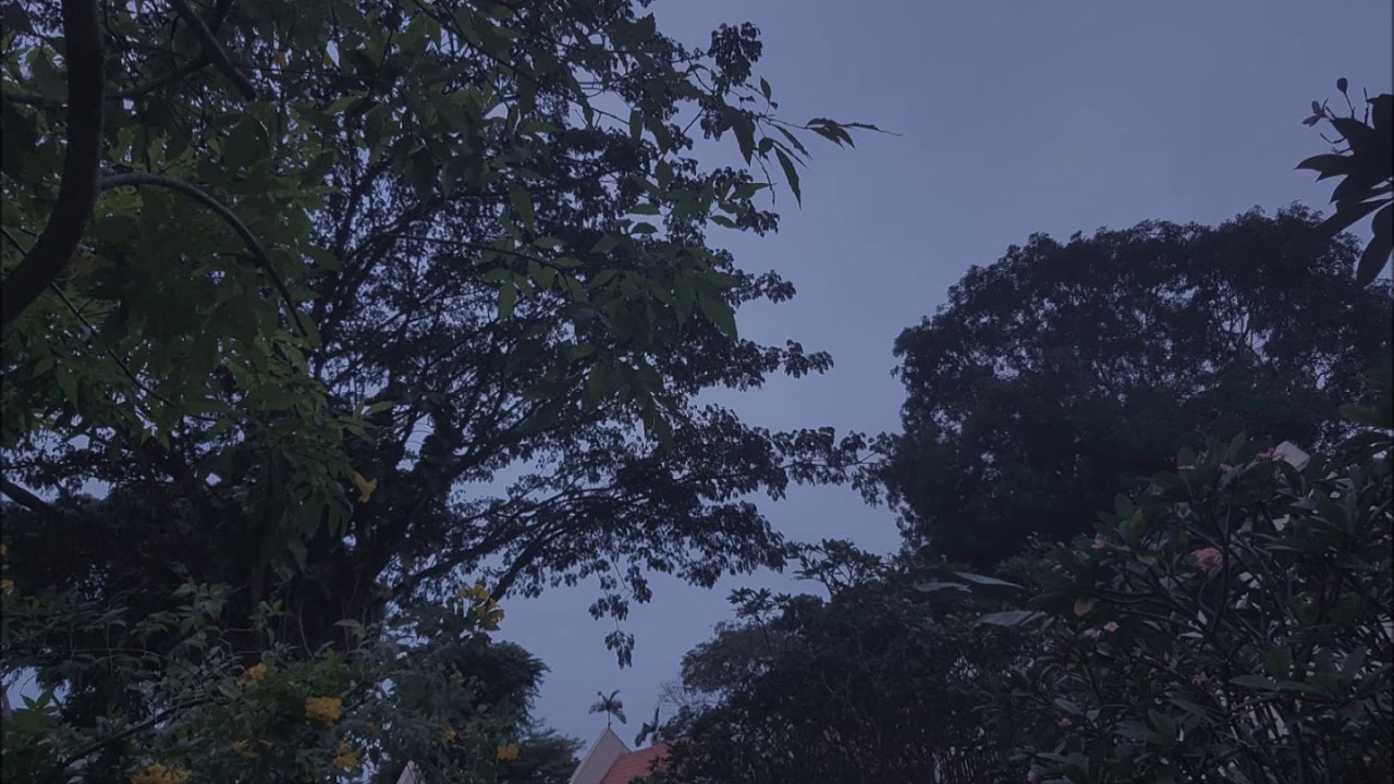 Citizen Flowerchild (piano cover) YouTube