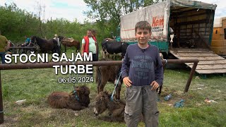 Stočni sajam Turbe 06.05.2024 - (4K)