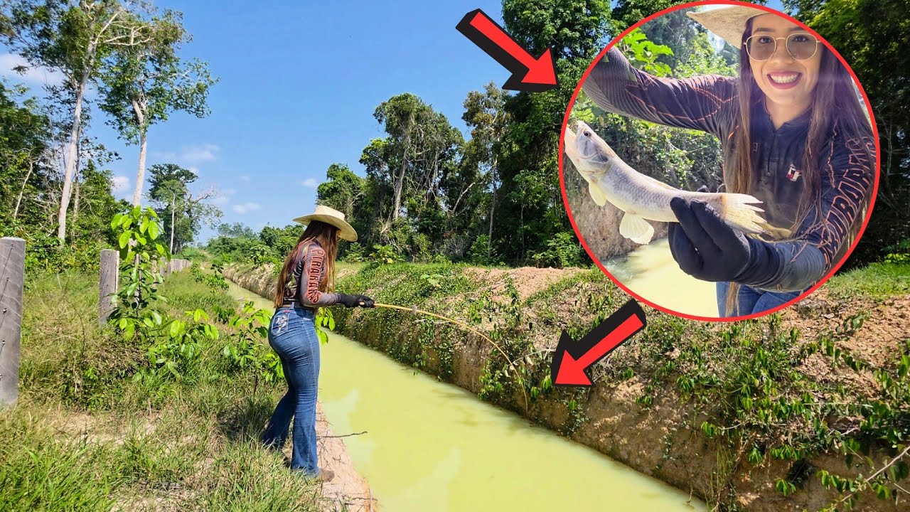 FUI PESCAR SOZINHA NO NOSSO ATERRO! Inacreditável o tanto de traíras gigantes que peguei