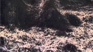 Famous Bill Berry R.E.M. Interview ~ 1985 Wealth