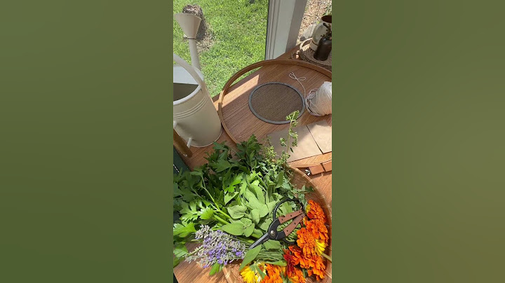 Growing a Tea Garden For My Herbal Apothecary 🌺 #teagarden #herbgarden #herbaltea #gardening