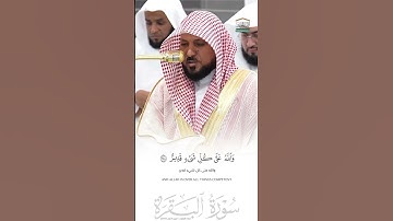 #ماهر_المعيقلي #اكسبلور #المصحف #سورة_البقرة #تيك_توك #لايك #قرآن