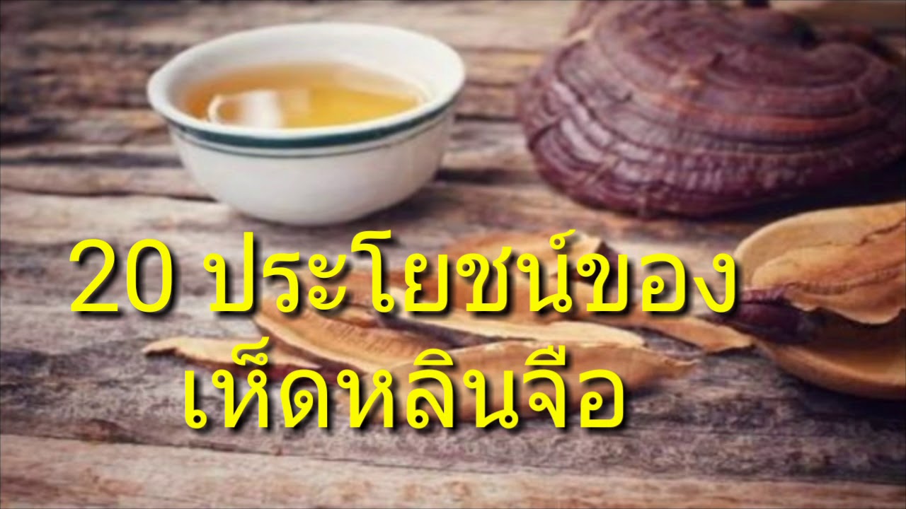 20 ประโยชน์และสรรพคุณของเห็ดหลินจือ กระตุ้นระบบภูมิคุ้มกันร่างกายโดยตรง [mcmHealth]