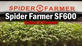 Grow Box Upgrade - Spider Farmer SF600 Unbox and Review