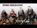 The 8 Predator Subspecies And Hybrids Explained
