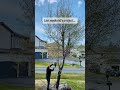 We’ve been busy in our yard