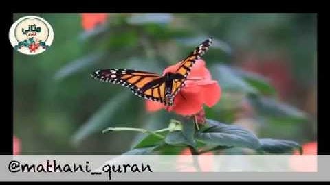 تأملات في سورة الكهف { أم حسبت أن أصحاب الكهف والرقيم كانوا من آياتنا عجبا} د. عقيل الشمري