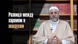 Разница Между Харамом И Макрухом. «Типы Законов Шариата»