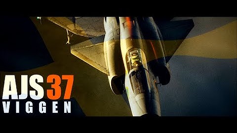 DEFENDER - DCS: VIGGEN