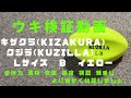 【円錐ウキ 比較】キザクラ(Kizakura) クジラ(KUZILLA)  Lサイズ B イエロー  検証 Vol.63 　フカセ釣りのウキマニア  【磯釣り ウキ浮力 うき ウキ種類 ウキオモリ】