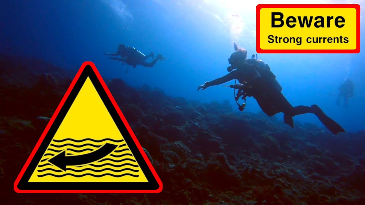 Epic drift dive at Tatawa Besar Komodo Islands.